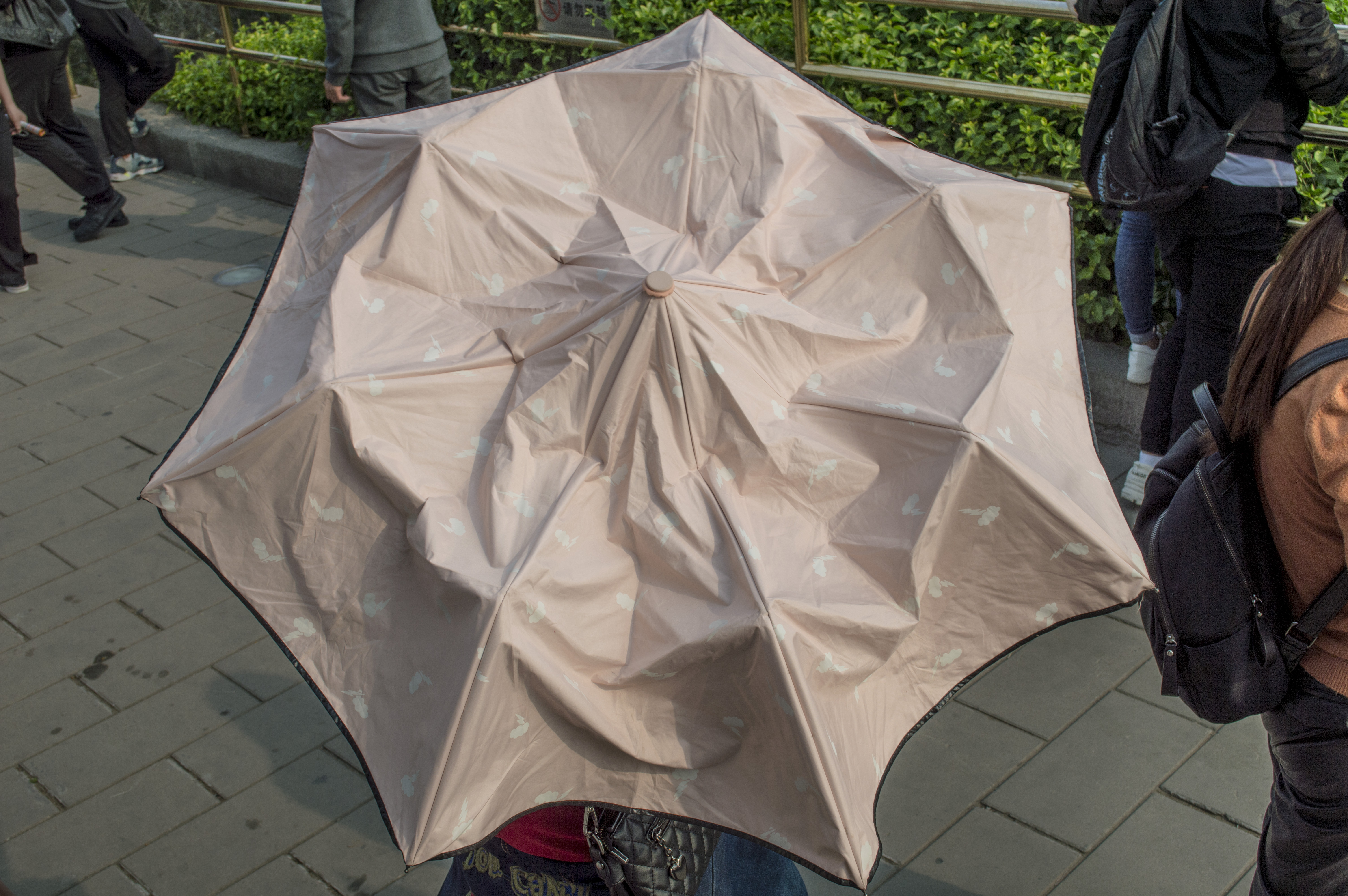 Beijing Shape + Tone